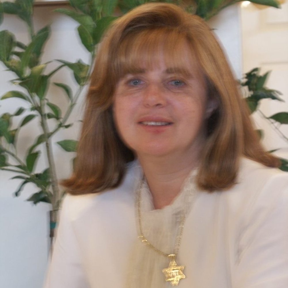 Gingham Twill Pencil Skirt-red pop